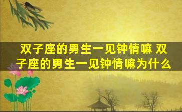 双子座的男生一见钟情嘛 双子座的男生一见钟情嘛为什么